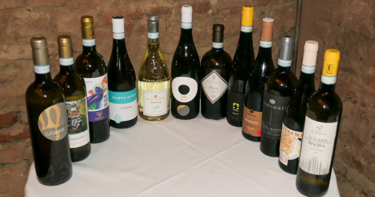 Lugana Weine Verkostung