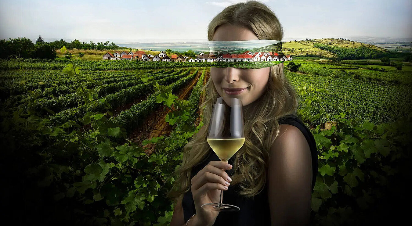 Der neue Jahrgang des Weinviertel DAC geht 2026 wieder auf Tour